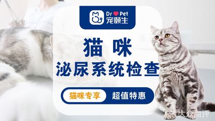 【宠颐生动物医院团购】-大众点评网团购