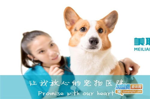 美联众合动物医院加盟要多少钱 总投资67.75万元 加盟费查询网