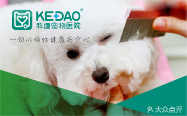 【科道动物医院团购】