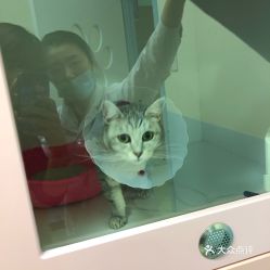 电话,地址,价格,营业时间 北京宠物