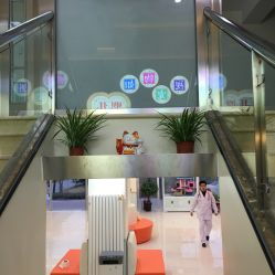 全心全意连锁动物医院总院 大兴医院