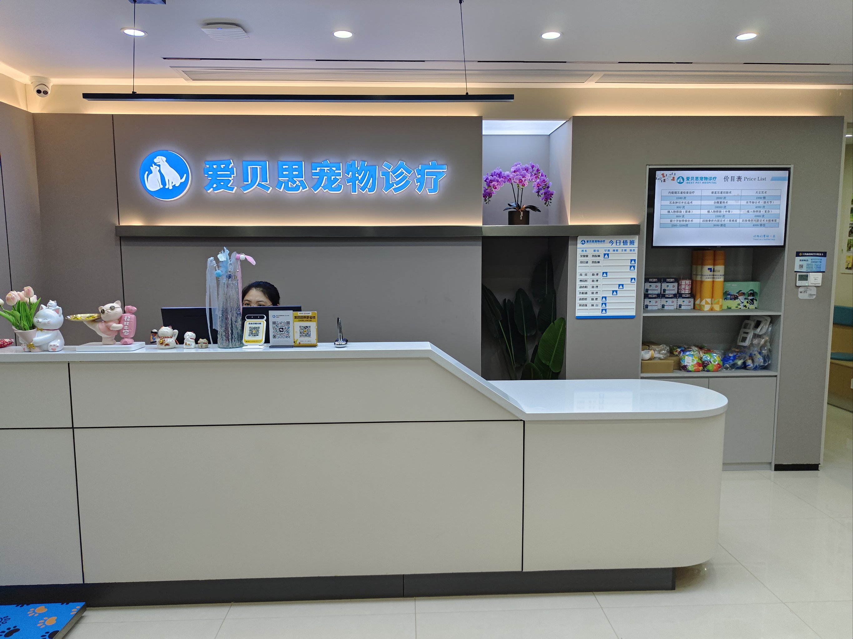 带着毛孩子去宠物医院的一天