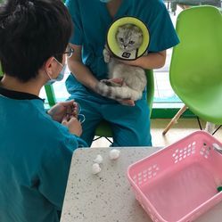 联合动物医院(汉口总院)