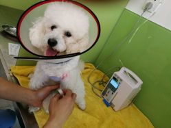 心之旅动物医院的全部评价