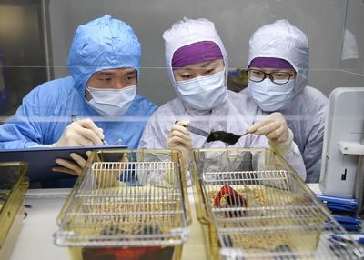 “让实验动物像人一样被善待”