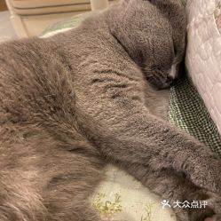 南京宠物动物医院指南 电话、地址、价格与营业时间信息